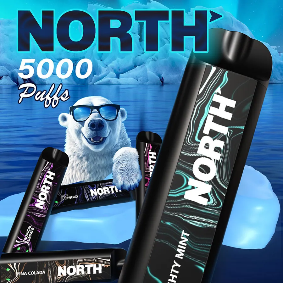 North 5000 Disposable Ecigs