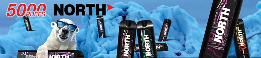 North 5000 Disposable Ecigs Wholesale