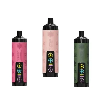 VAPGO Chill Shisha 30K Ice Control Disposable Vape (0.6% 30,000 Puffs) - product image 2